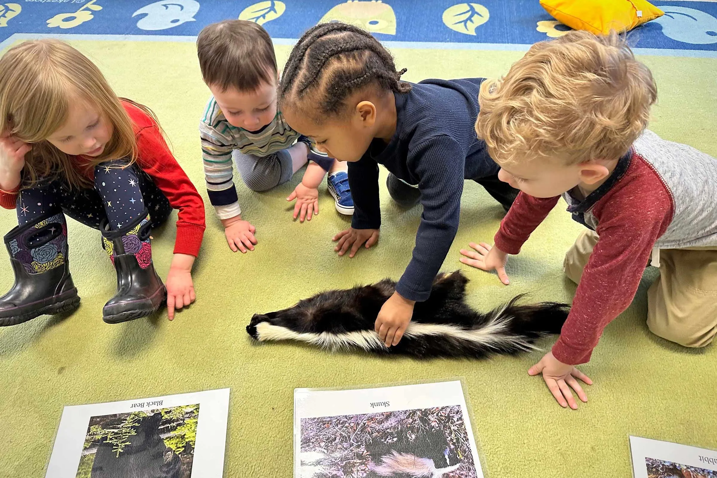 ECE grant process