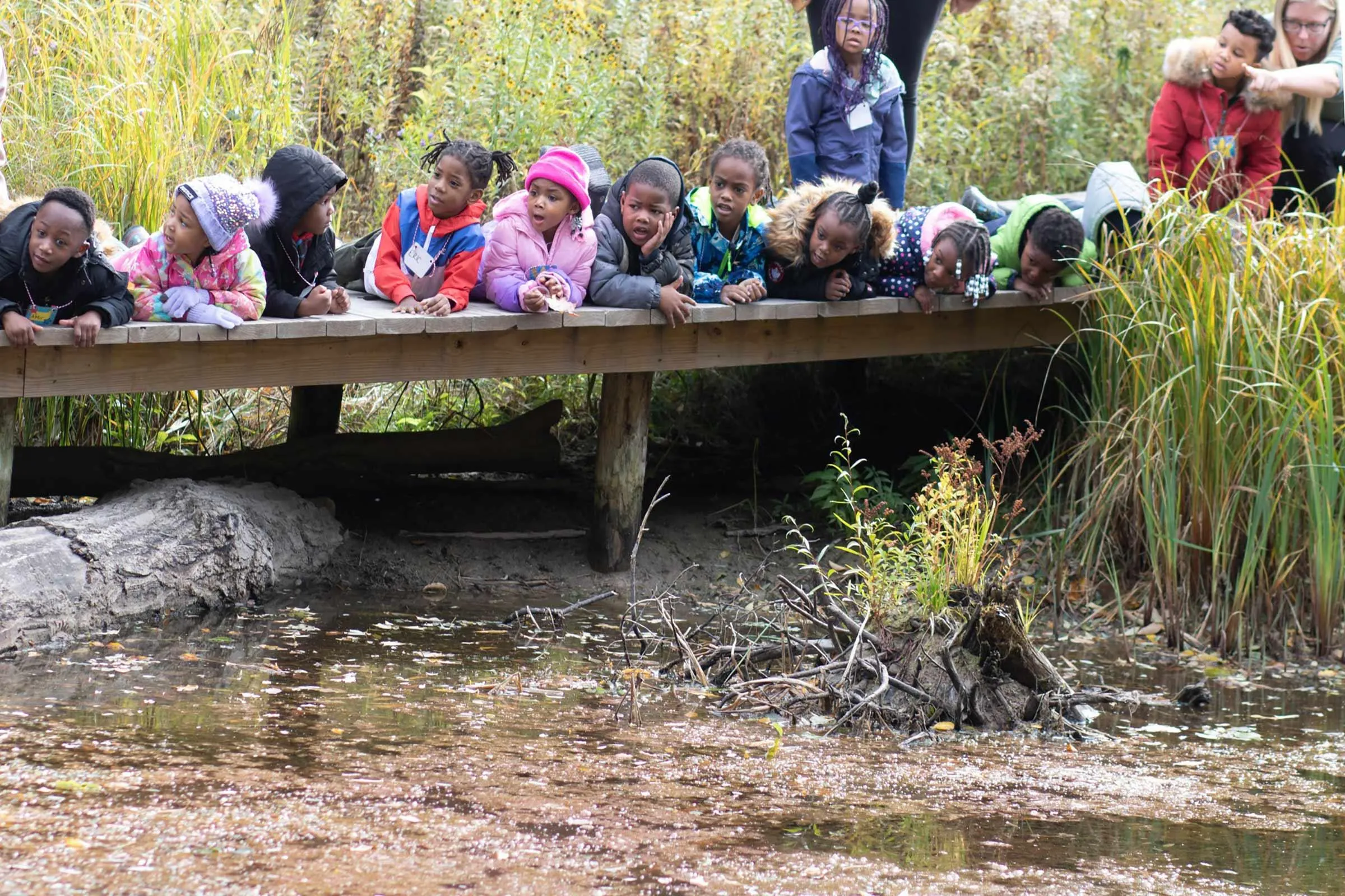 Exposing Milwaukee preschoolers to nature