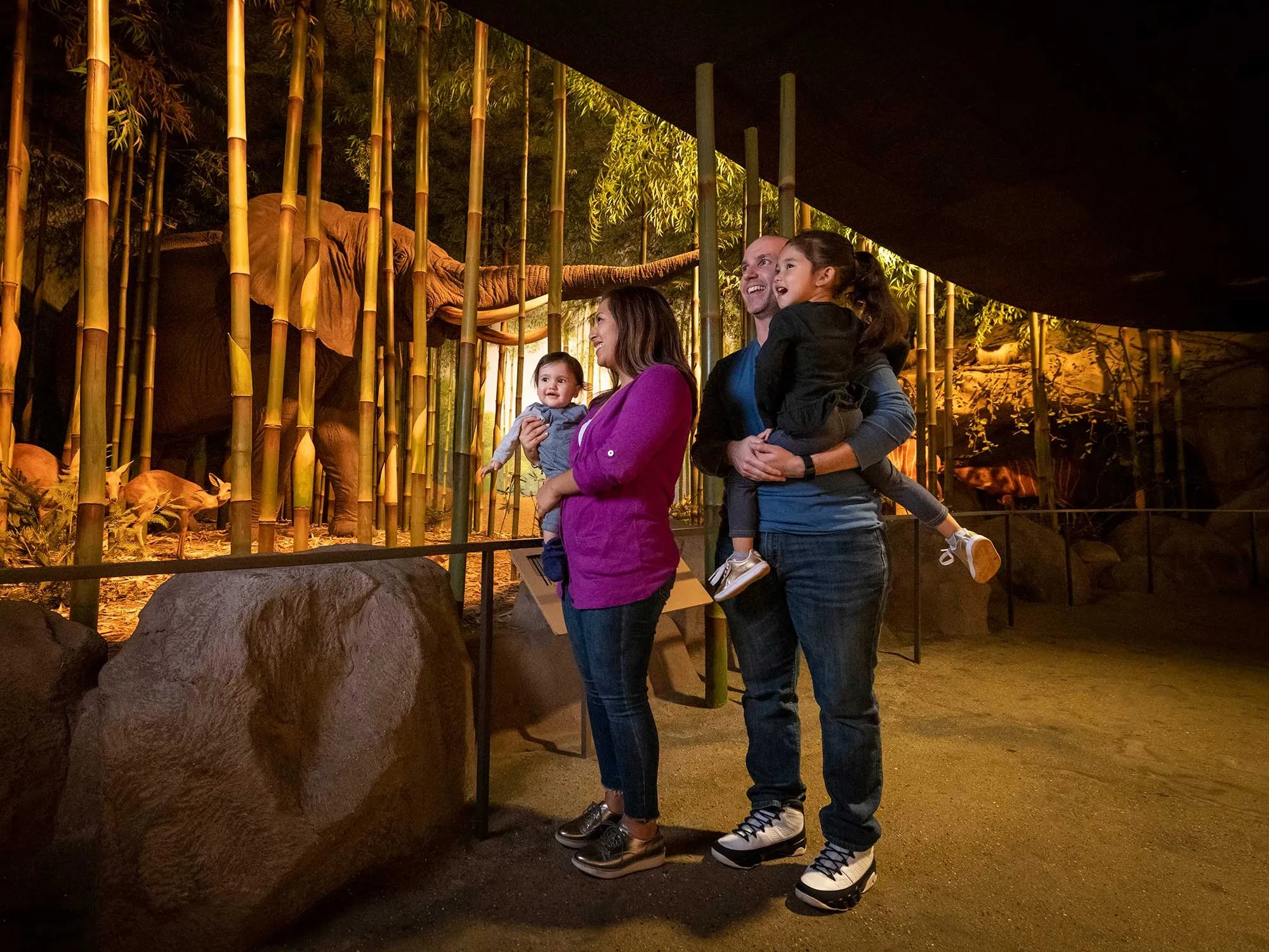 MPM Indian Elephant exhibit
