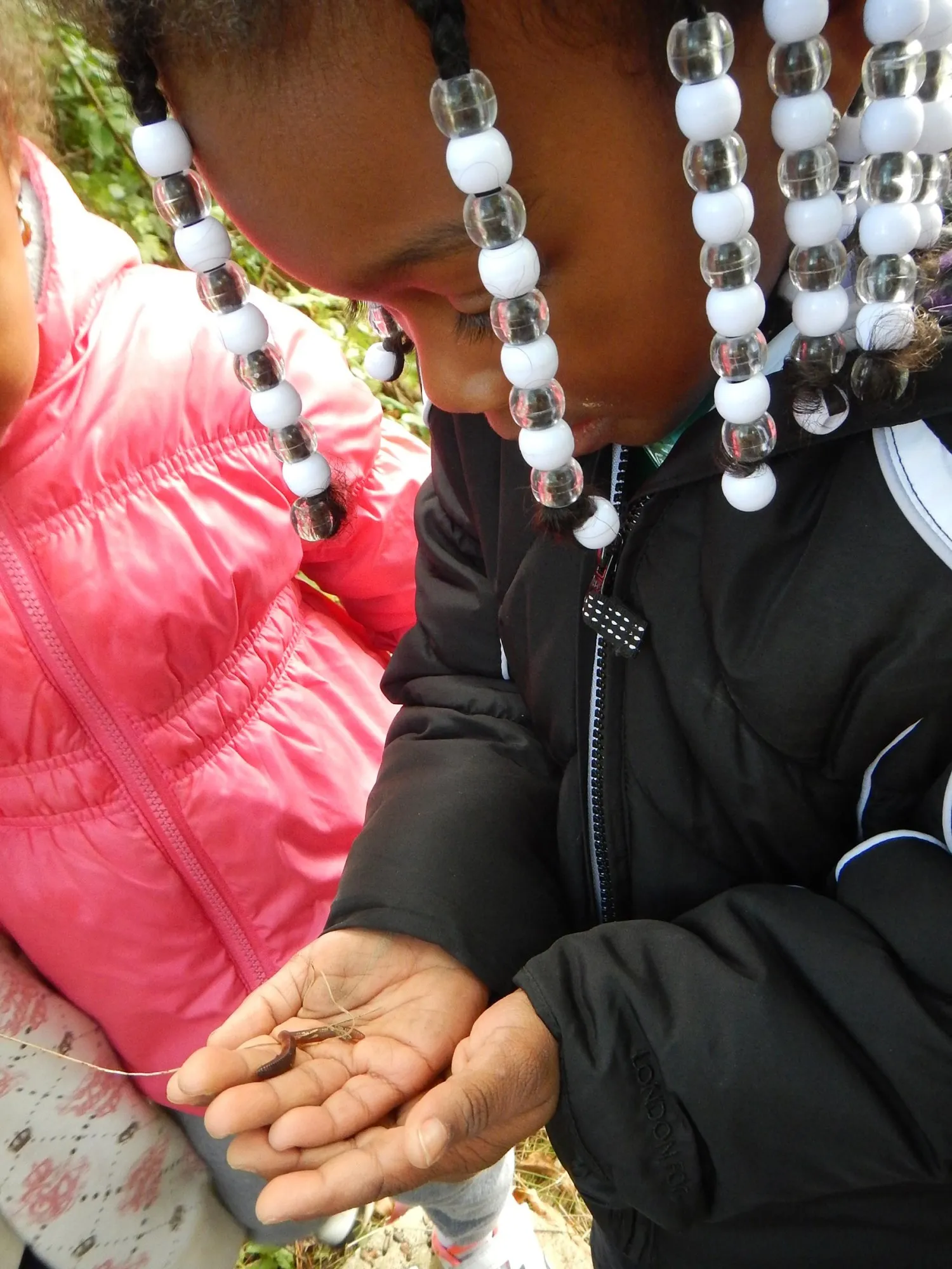 Preschoolers at the Schlitz Audubon Nature Center
